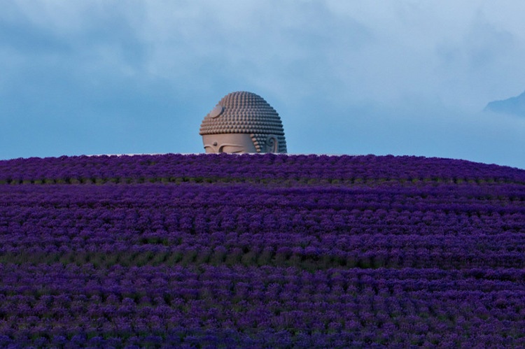 Amazing Architecture - Hill of The Budha