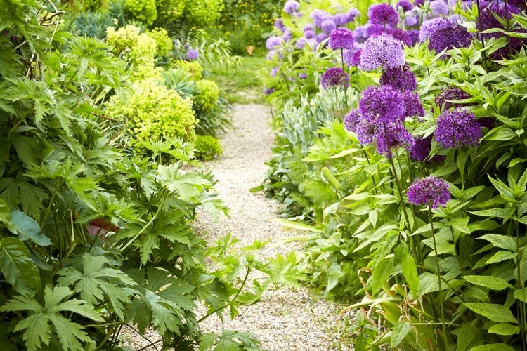 Up the gravel garden path with Nidagravel 129